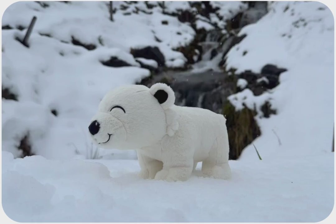 Load and play video in Gallery viewer, Polar Bear Adoption Plushie
