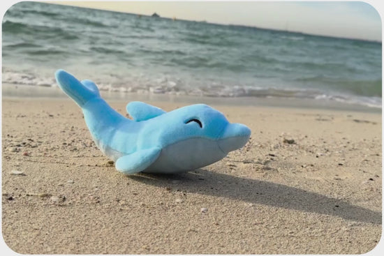 Load and play video in Gallery viewer, Dolphin Adoption Plushie
