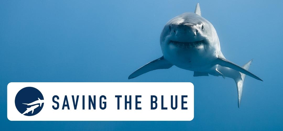 Saving the Blue (Donatie)