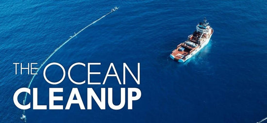 Limpieza de los océanos (donación)