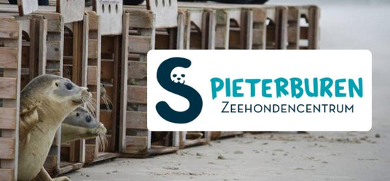 Pieterburen - Centro di riabilitazione e ricerca sulle foche
