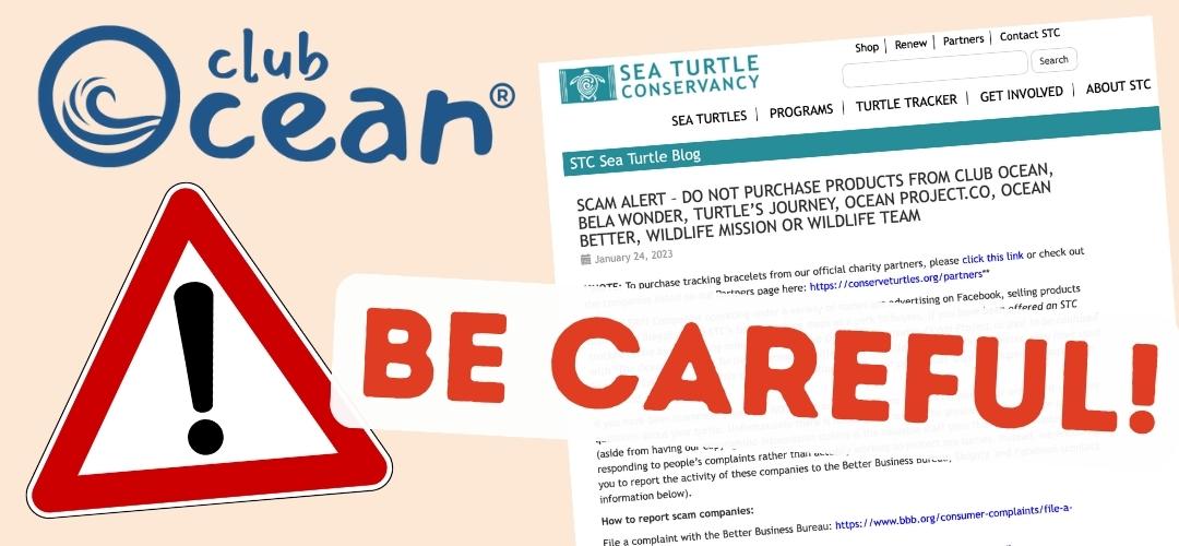 SCAM ALERT: ClubOcean targeted by counterfeiters (Reported by Sea Turtle Conservancy)
