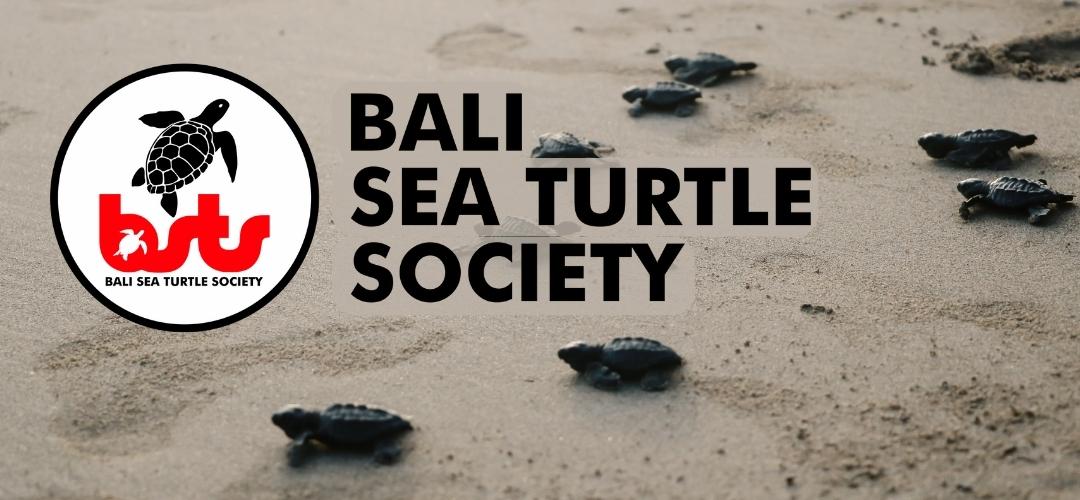 Bali Meeresschildkröten Gesellschaft (Spende)