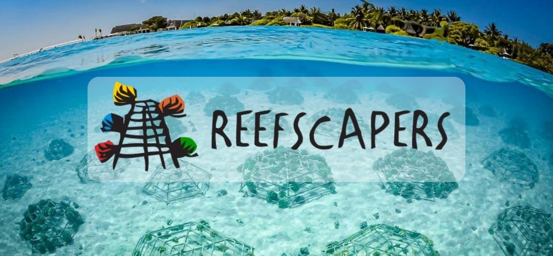 Reefscapers (Sponsoring van Koraalframes)