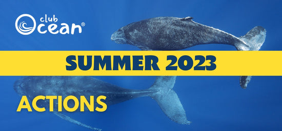 SUMMER 2023 - ClubOcean® Actions