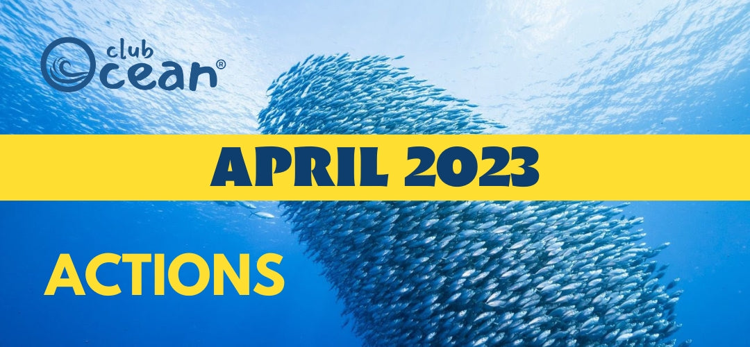 APRIL 2023 - ClubOcean® Actions