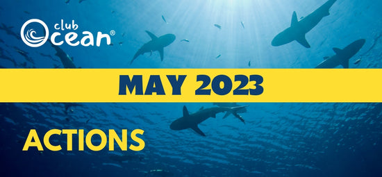 MAY 2023 - ClubOcean® Actions