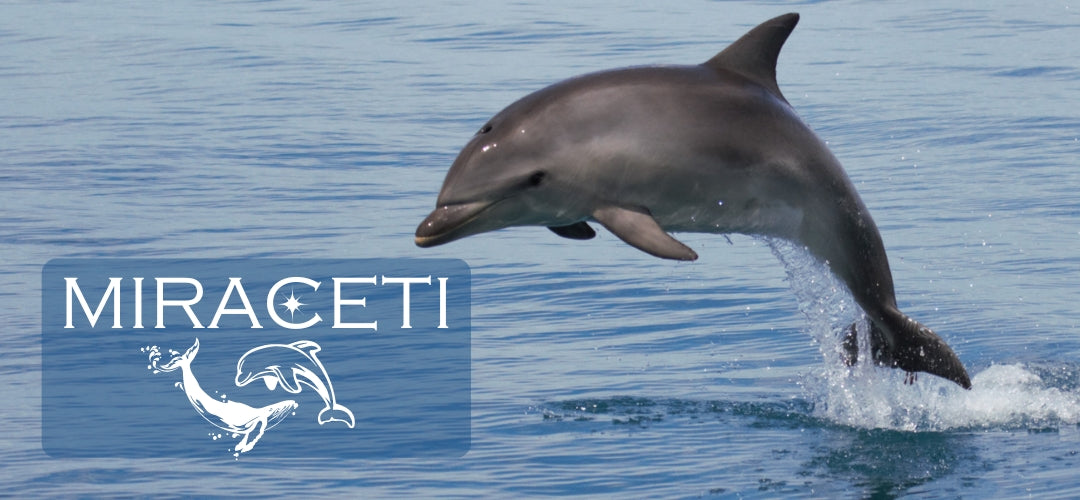 Miraceti : Connaissance et Conservation des Cétacés (Donación)