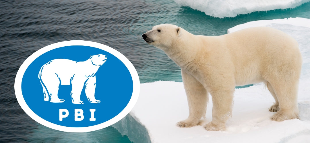 Mezinárodní organizace Polar Bears International (příspěvek)