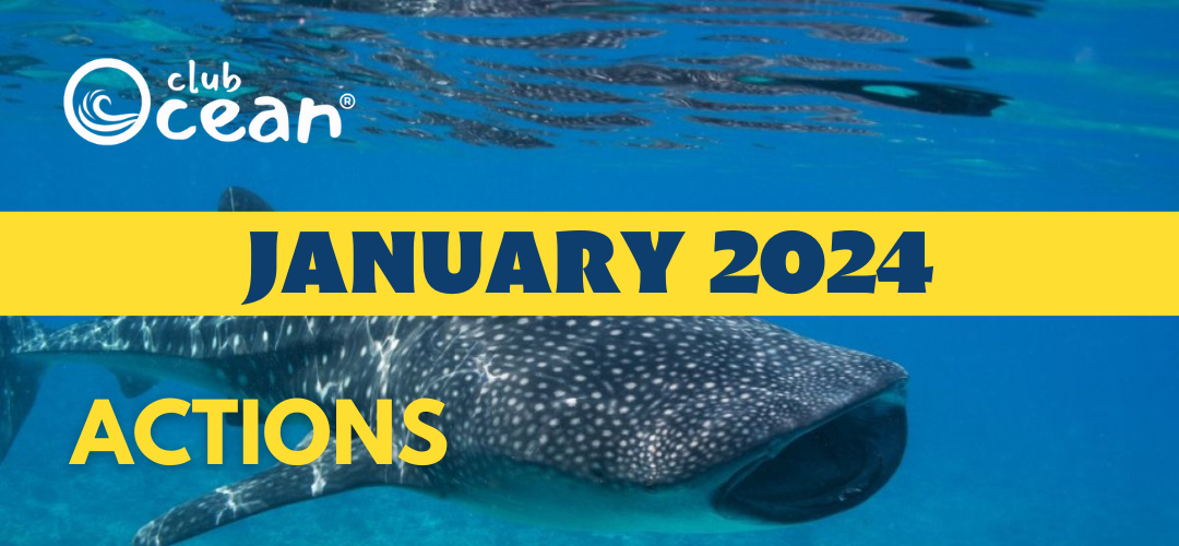 JANUARY 2024 - ClubOcean® Actions