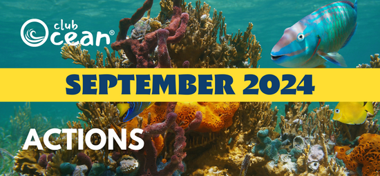 SEPTEMBER 2024 - ClubOcean® Actions