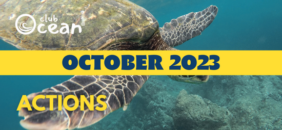 OCTOBER 2023 - ClubOcean® Actions