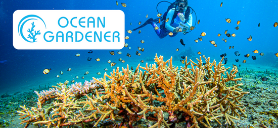 Ocean gardner (Coral Reef Protection)