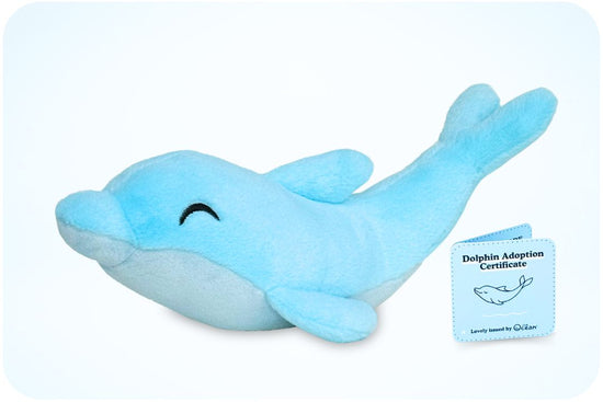 Dolphin Adoption Plushie