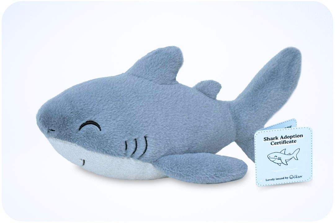 Shark Adoption Plushie