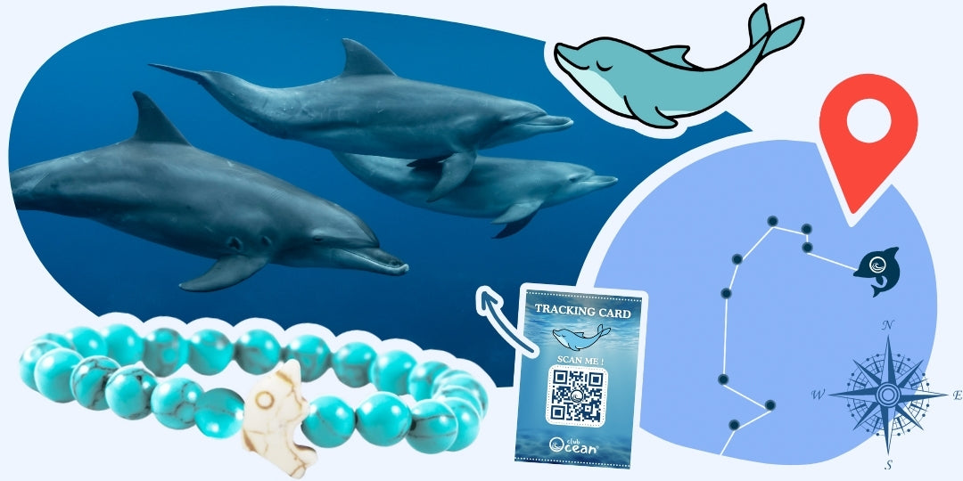 Pulsera de Seguimiento de Delfines