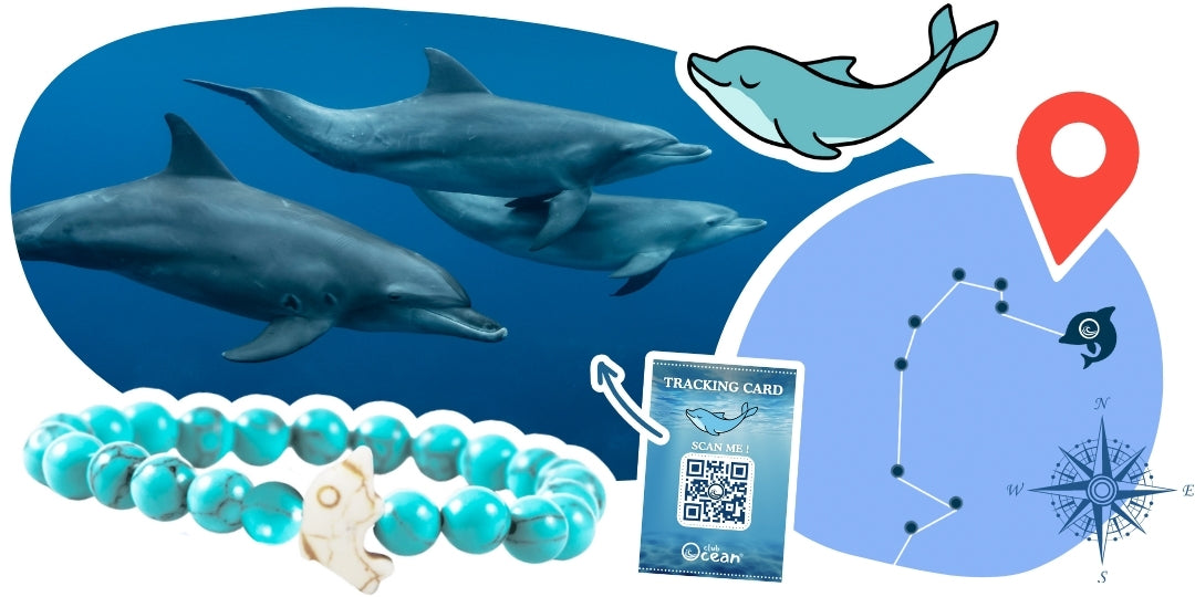 Dolphin Tracking Bracelet