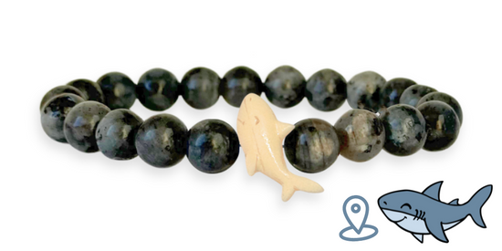 Pulsera de Seguimiento de Tiburones