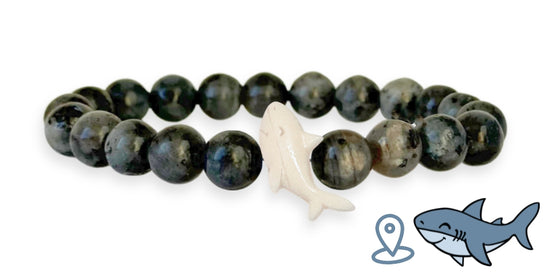 Shark Tracking Bracelet