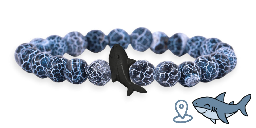 Shark Tracking Bracelet