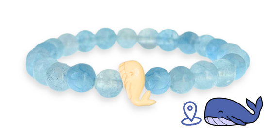 Pulsera de Seguimiento de Ballenas