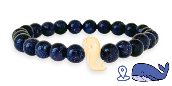 Pulsera de Seguimiento de Ballenas