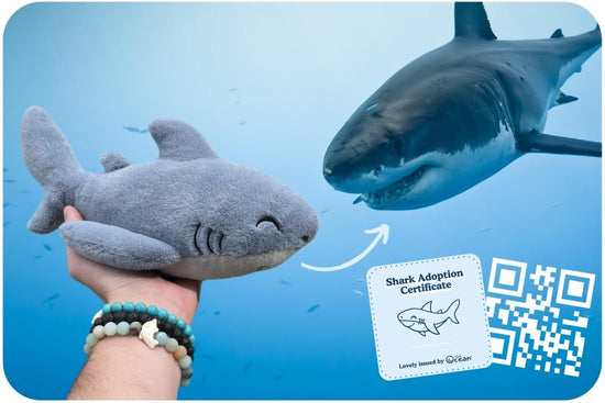Plyšák pro adopci žraloka