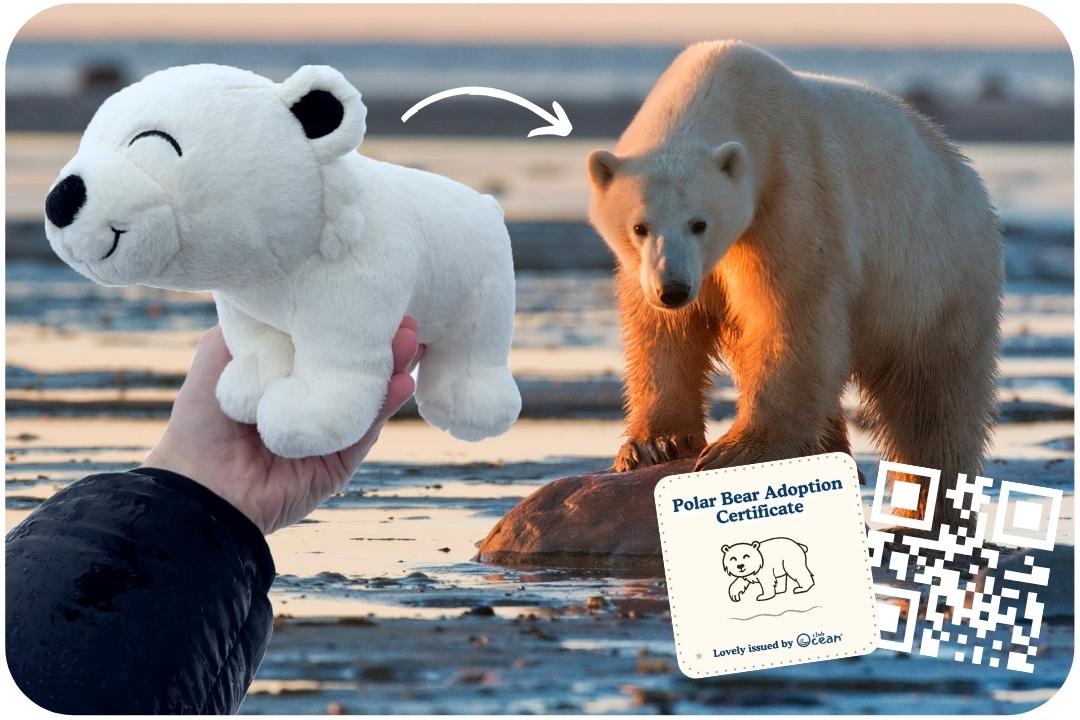 Peluche di adozione dell'orso polare