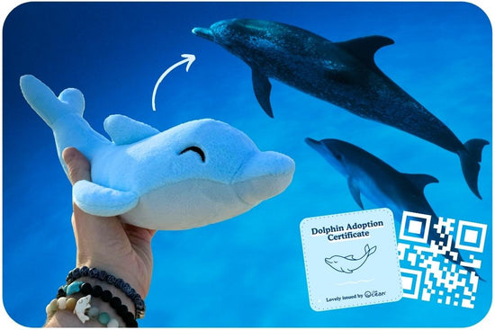 Dolphin Mission Plushie