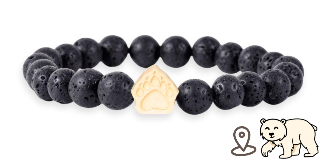 Pulsera de Seguimiento del Oso Polar