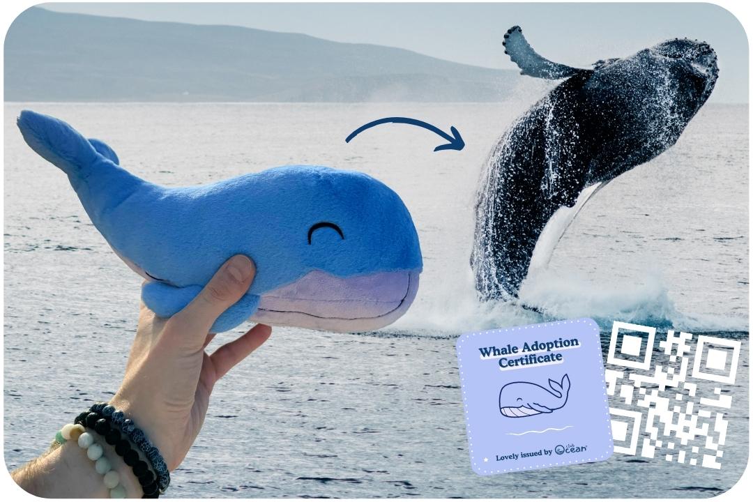 Peluche d'adoption de la baleine