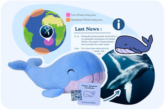 Whale Adoption Plushie