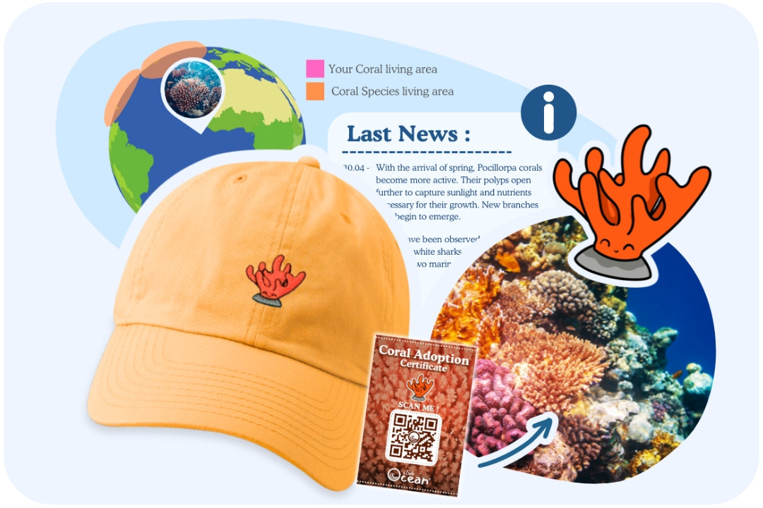 Coral Mission Cap