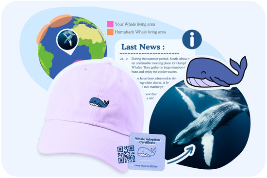 Whale Mission Cap