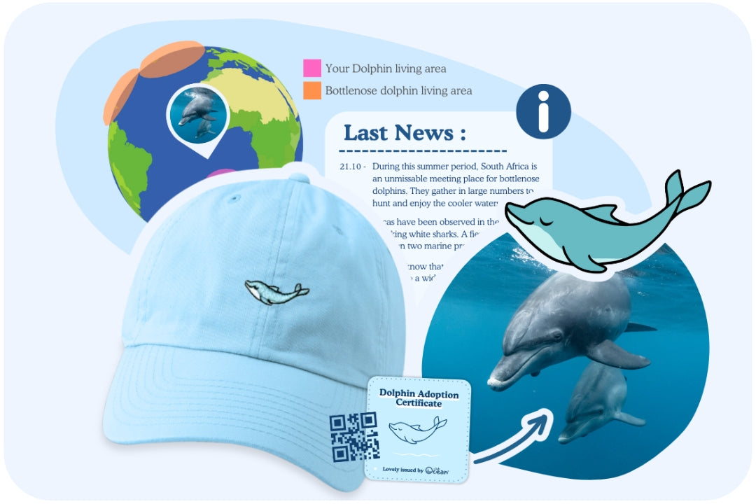 Dolphin Mission Cap