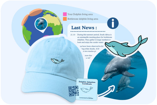 Gorra Misión Delfines