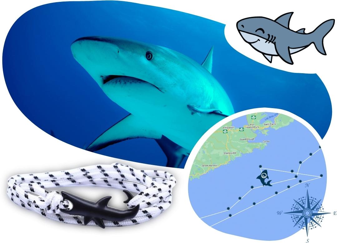 “Shark” Bracelet