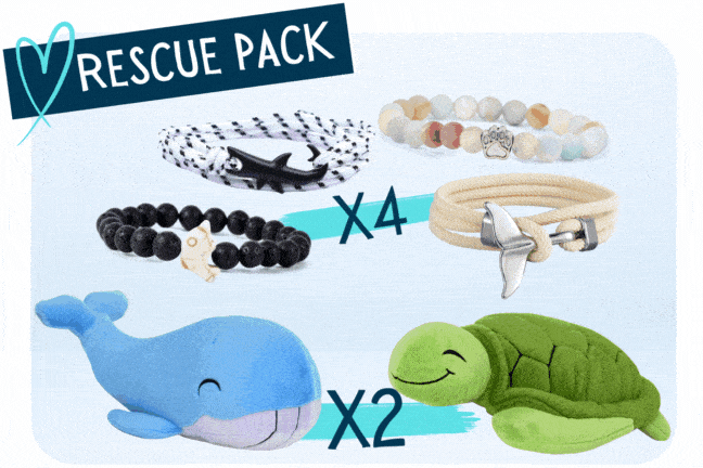 Rescue Pack (4 Bracelets + 2 Plushies)