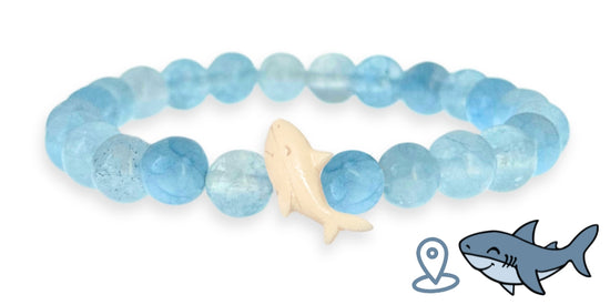 Shark Tracking Bracelet