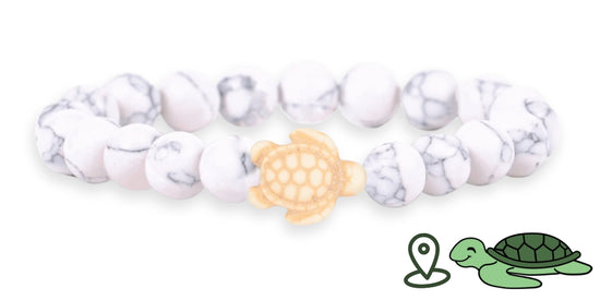 Pulsera de seguimiento de tortugas