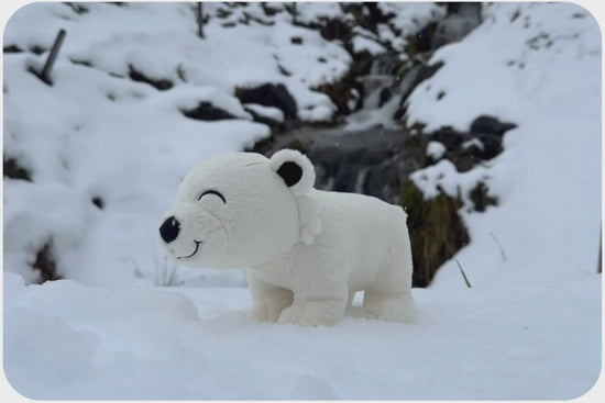 Caricare e riprodurre il video nel visualizzatore della Galleria, Peluche di adozione dell'orso polare
