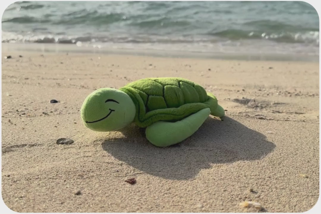 Video in Galerie-Viewer laden und abspielen, Turtle Adoption Plushie
