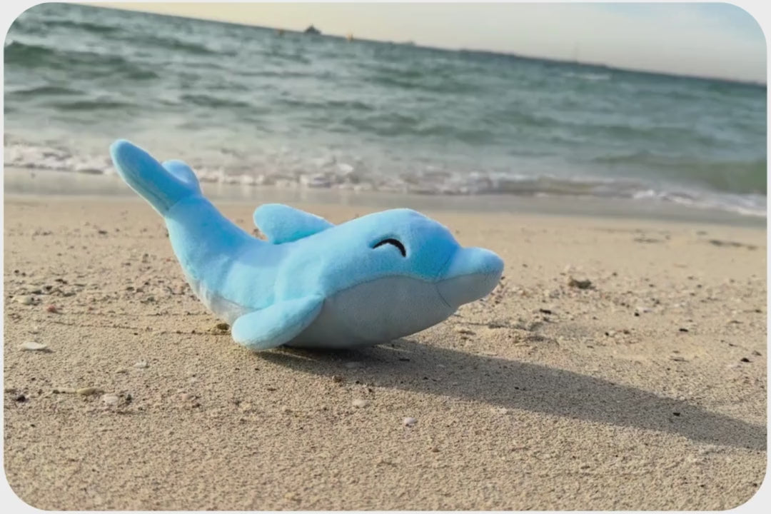 Load and play video in Gallery viewer, Dolphin Mission Plushie
