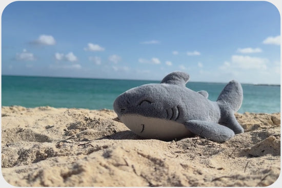 Ladda och spela upp video i Gallerivisaren, Shark Adoption Plushie
